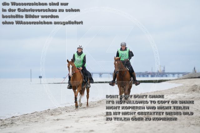 s_K3F04868.JPG